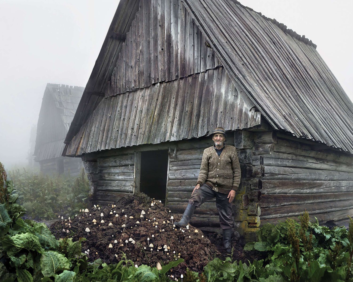 Notes for an Epilogue by Tamas Dezso, documentary, photography, landscape, nature, Industrial
