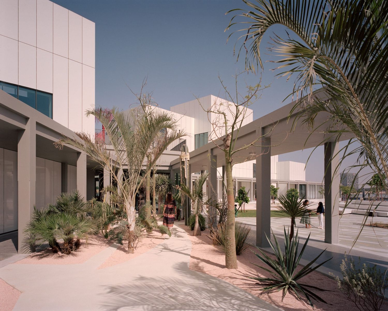 Jameel Arts Centre Dubai by Serie Architects — A shaded courtyard passage beneath a concrete pergola structure, featuring drought-tolerant plantings of pale palm fronds and spindly branches casting...
