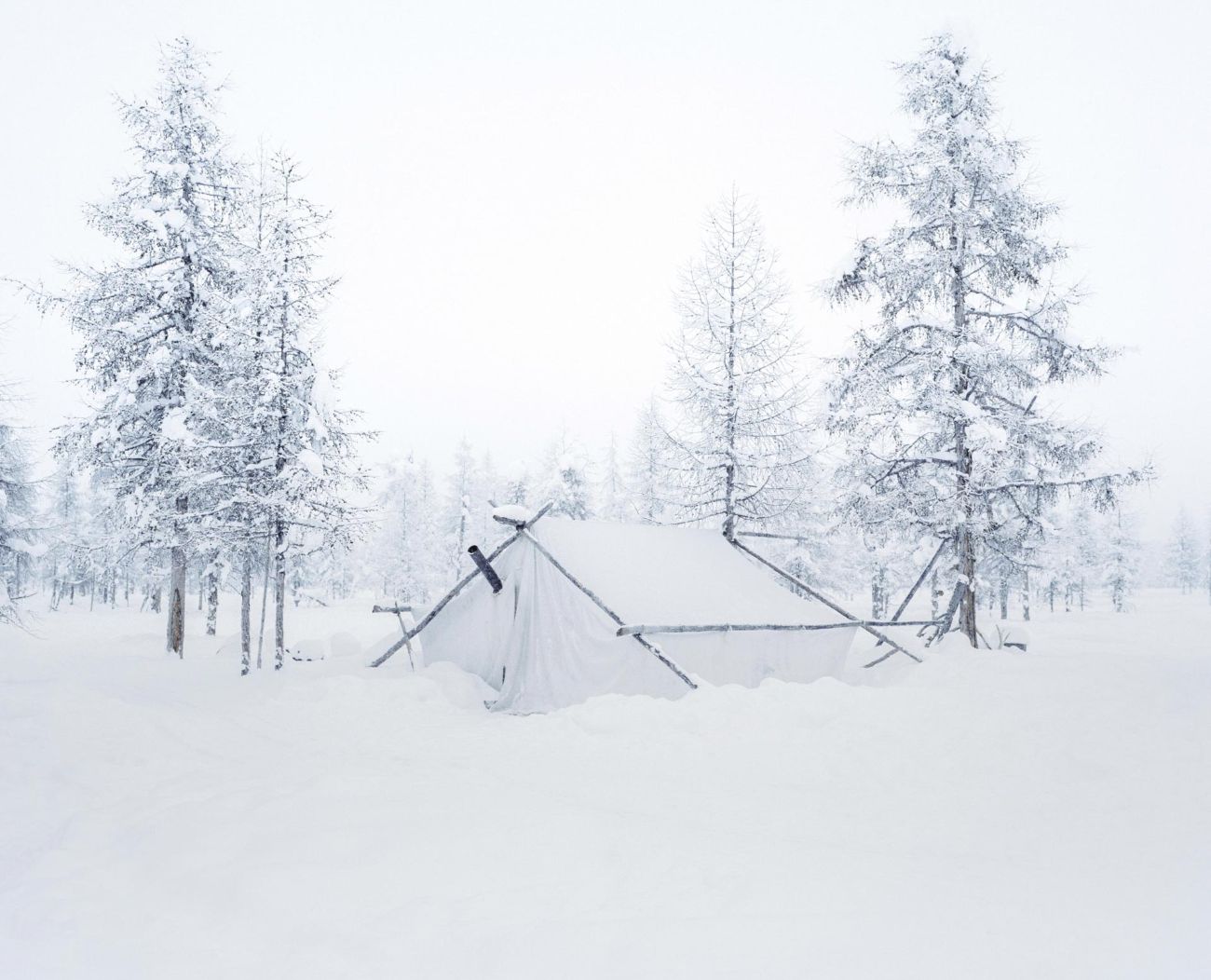 Sacha by Alexis Pazoumian — A canvas tent pitched in deep snow between two stands of frost-laden larch trees in the Yakutian tundra.