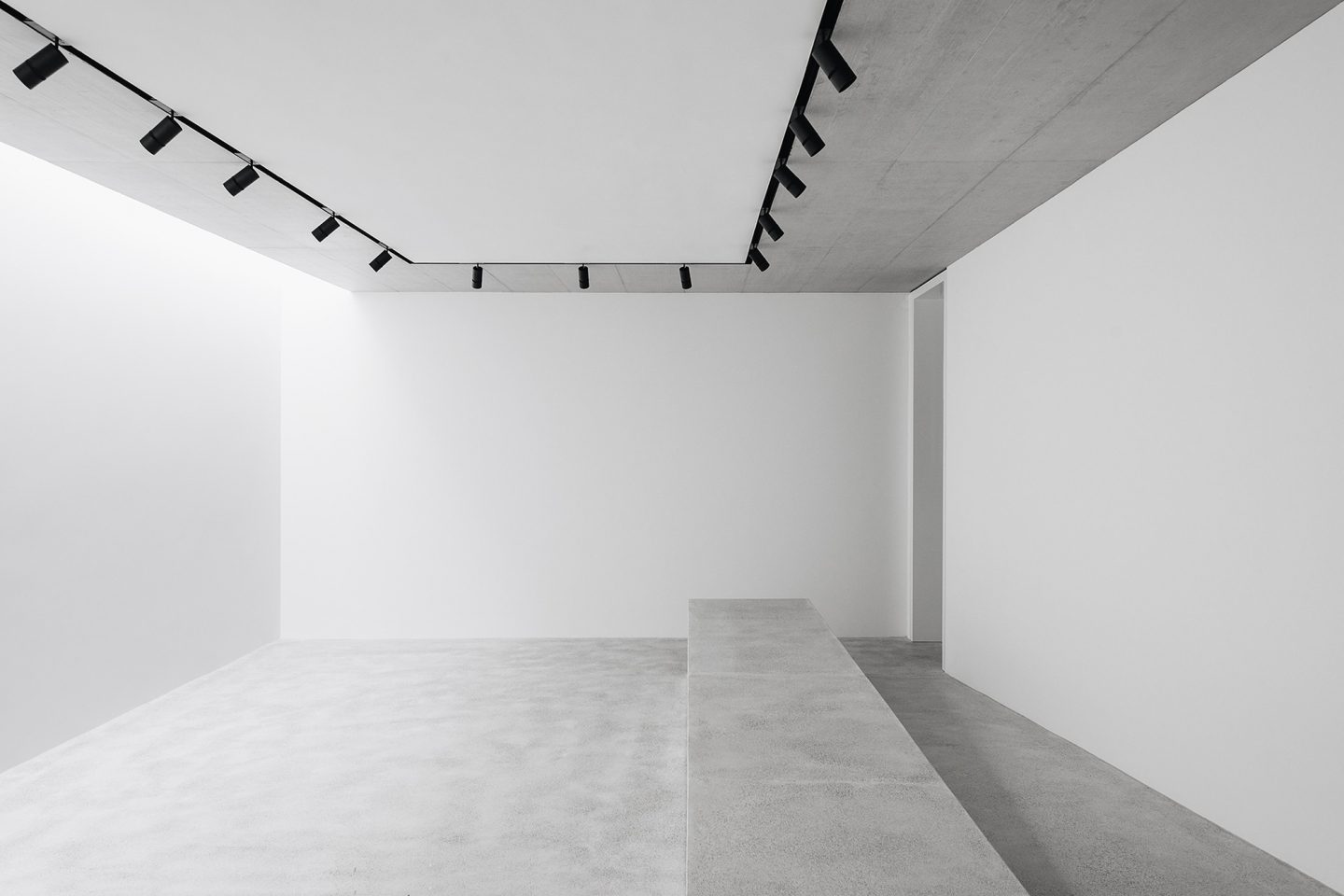 House for an Art Collector by Think Architecture — A gallery interior featuring a monolithic concrete ramp bisecting the white-walled space.