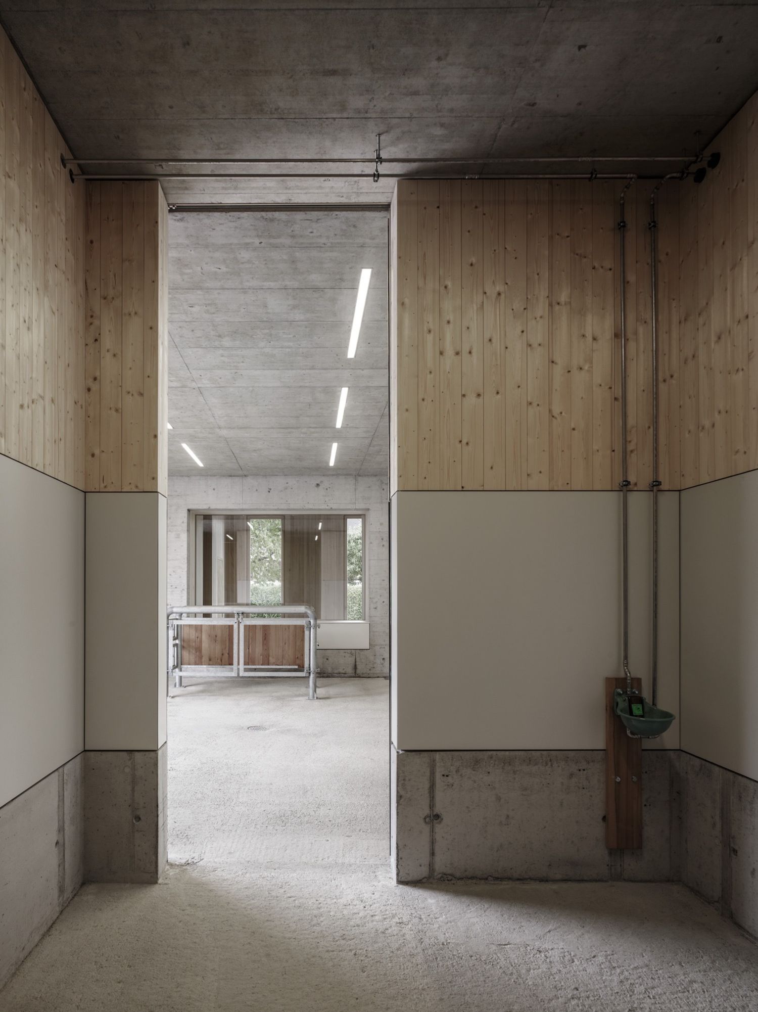 Griss Equine Veterinary Practice by Marte.Marte Architects, concrete, wood, architecture, workspace, interiors
