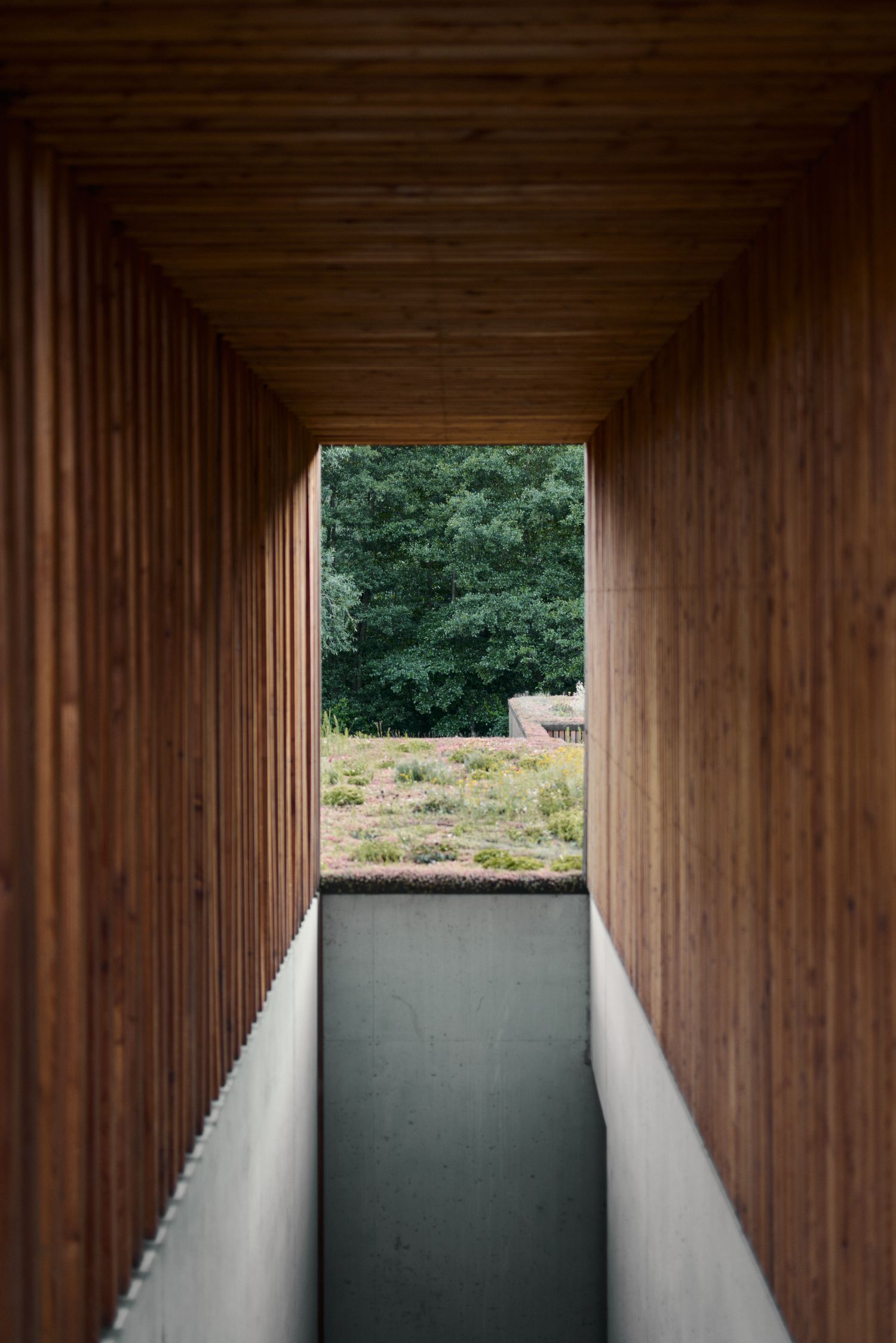 Type01 Sideboard by Tylko, technology, furniture, sustainable, shelf, design