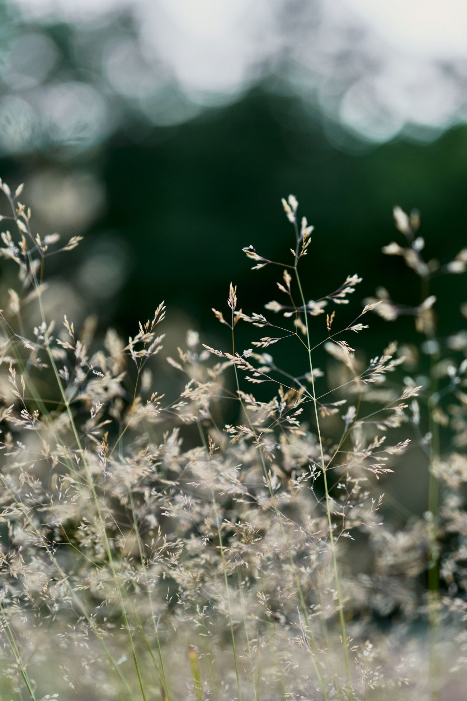 Type01 Sideboard by Tylko, technology, furniture, sustainable, shelf, design