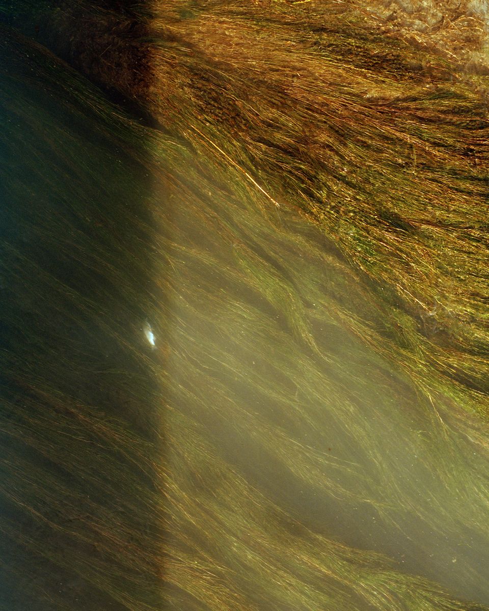 Along the Swift Current of Time by Teodora Georgieva — Underwater or submerged view of mineral-encrusted rock face with ochre and rust-toned deposits layered across the surface.