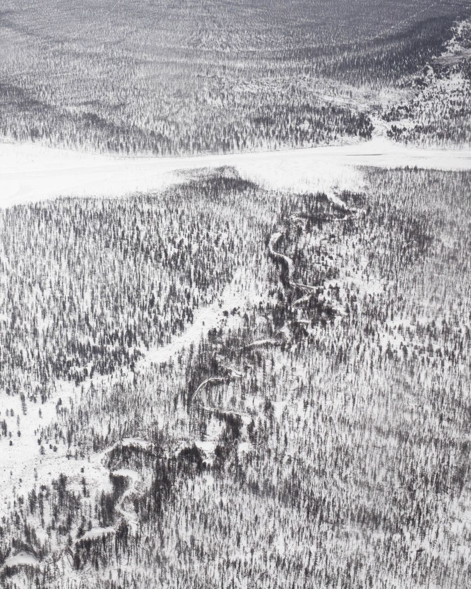 Удачный / Lucky by Hanne Van Assche — Aerial photograph of Yakutian taiga in winter, capturing a sinuous river channel cutting through dense coniferous forest.