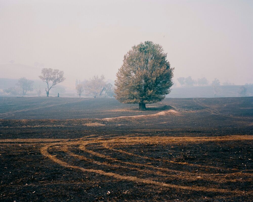 Do Brumbies Dream in Red by Tom Goldner, climatechange, landscape, photography, nature, documentary