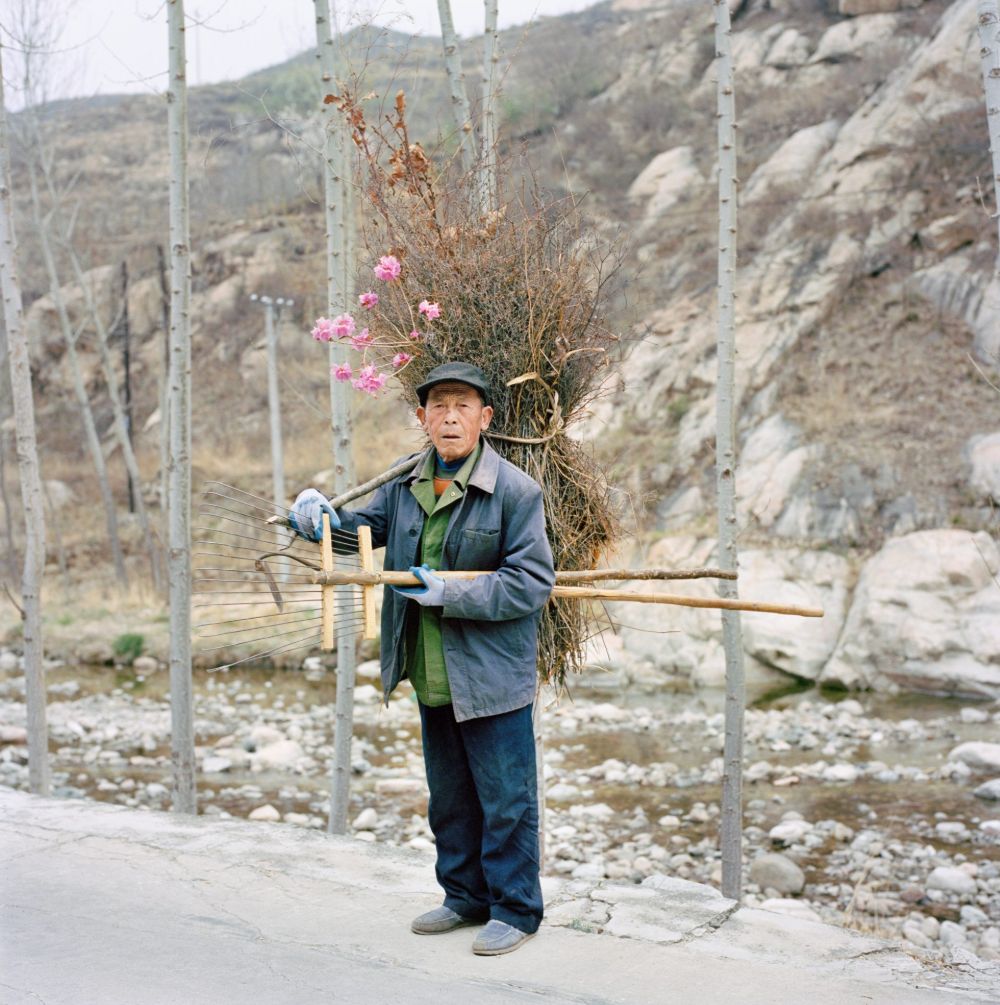 Watering My Horse by Xiaoxiao Xu — An elderly man holds a wooden rake and bundle of dried vegetation beside a sparse pink-flowering shrub rooted against Ming dynasty stone masonry.