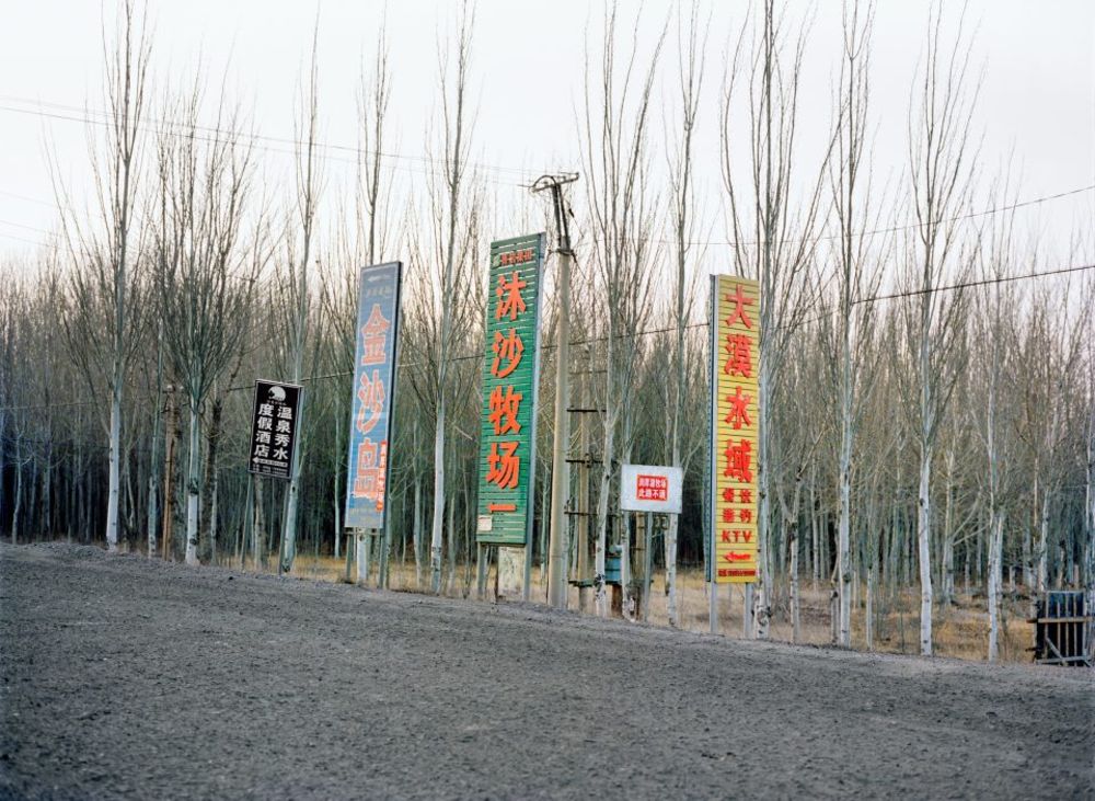 Watering My Horse by Xiaoxiao Xu — Vertical promotional banners in red, green, and yellow characters punctuate a sparse poplar grove, their vivid pigment contrasting sharply with the...