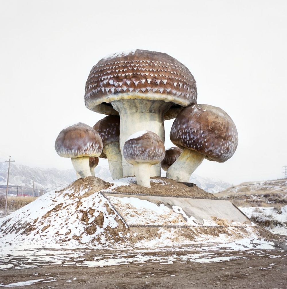 Watering My Horse by Xiaoxiao Xu — Xiaoxiao Xu's photograph documents a surreal sculptural intervention set against the Ming dynasty fortifications near the Great Wall of China.