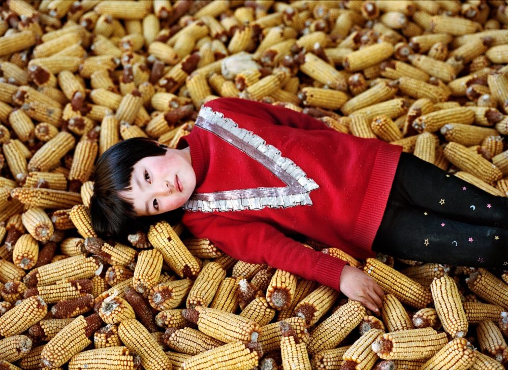 Watering My Horse by Xiaoxiao Xu — A child in a crimson knit sweater with white lace trim lies supine across a dense field of harvested corn cobs, their dark hair contrasting against the...