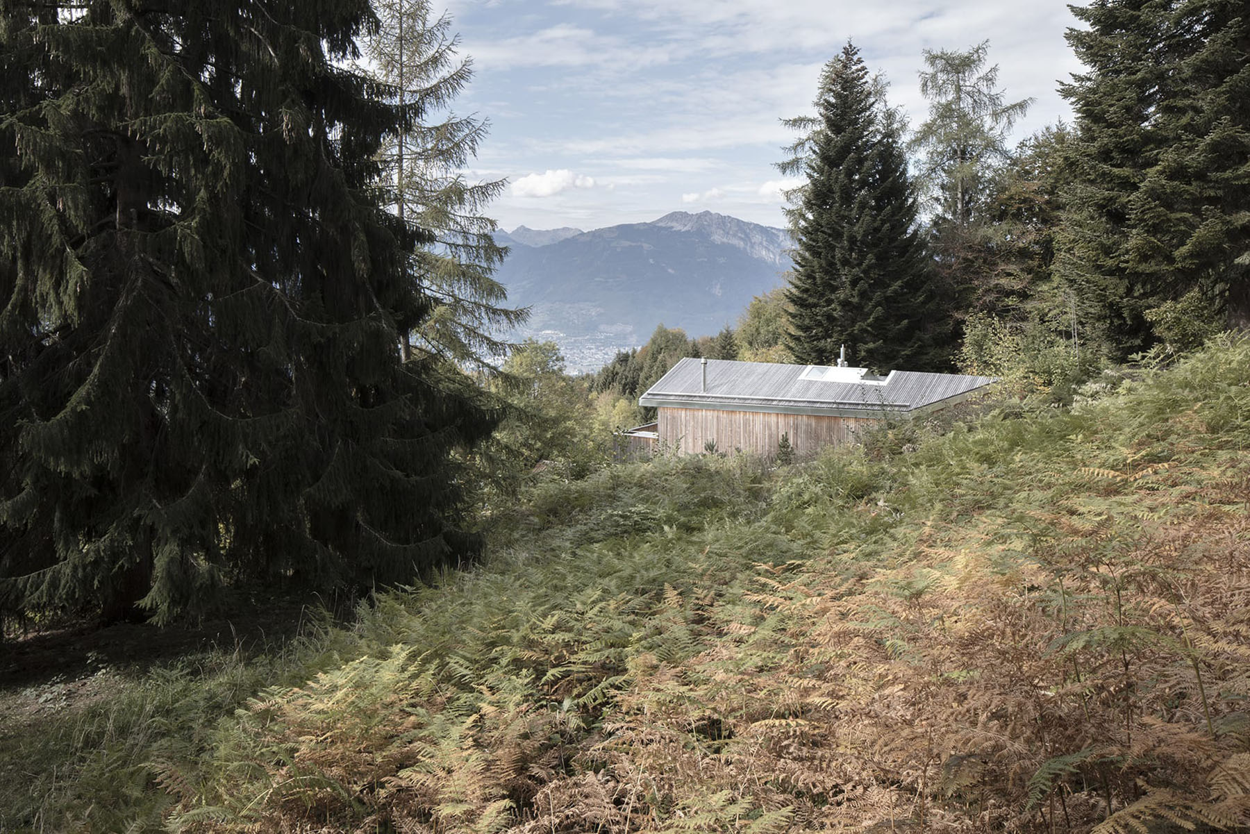 En Chalméry House by Christian Dupraz Architects — The En Chalméry House emerges from dense Alpine forest, its timber-clad volume positioned on a sloped, vegetated site dotted with ferns and low undergrowth.