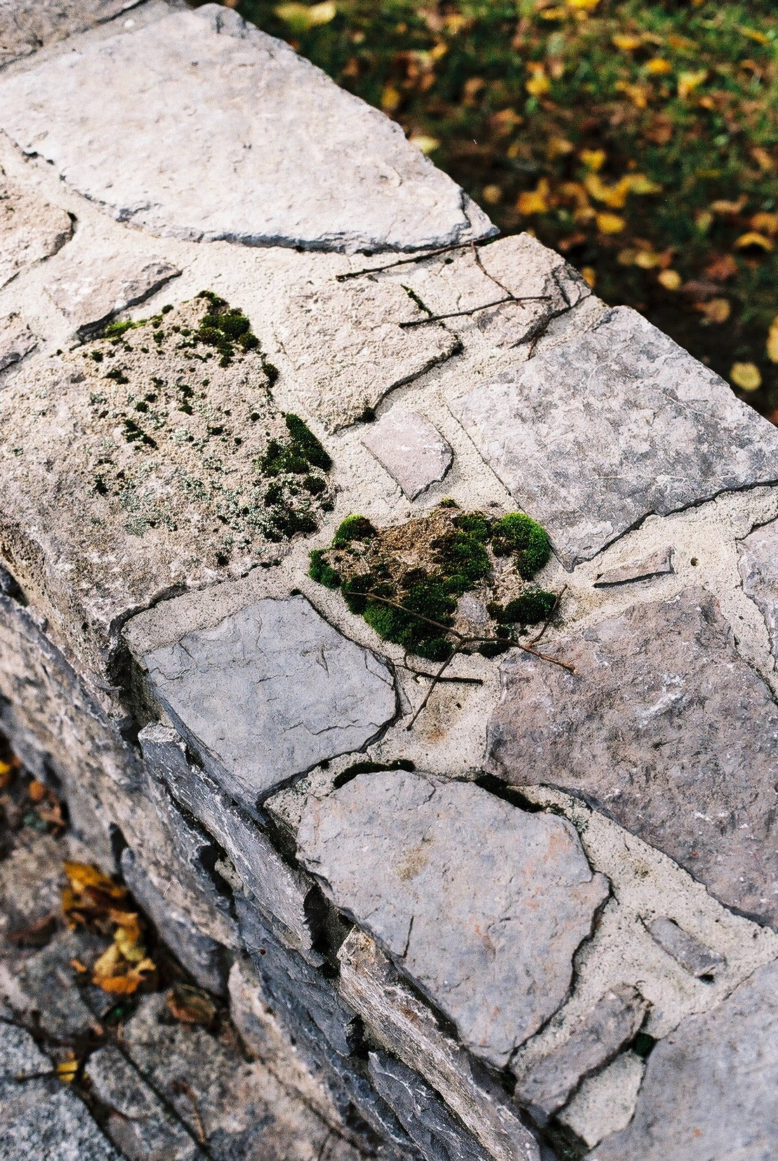 Wygnanowice House Over Crystal Clear Springs captured by Thisispaper Studio — Close-up detail of coursed dolomite stone masonry forming the base perimeter of House Over Crystal Clear Springs.