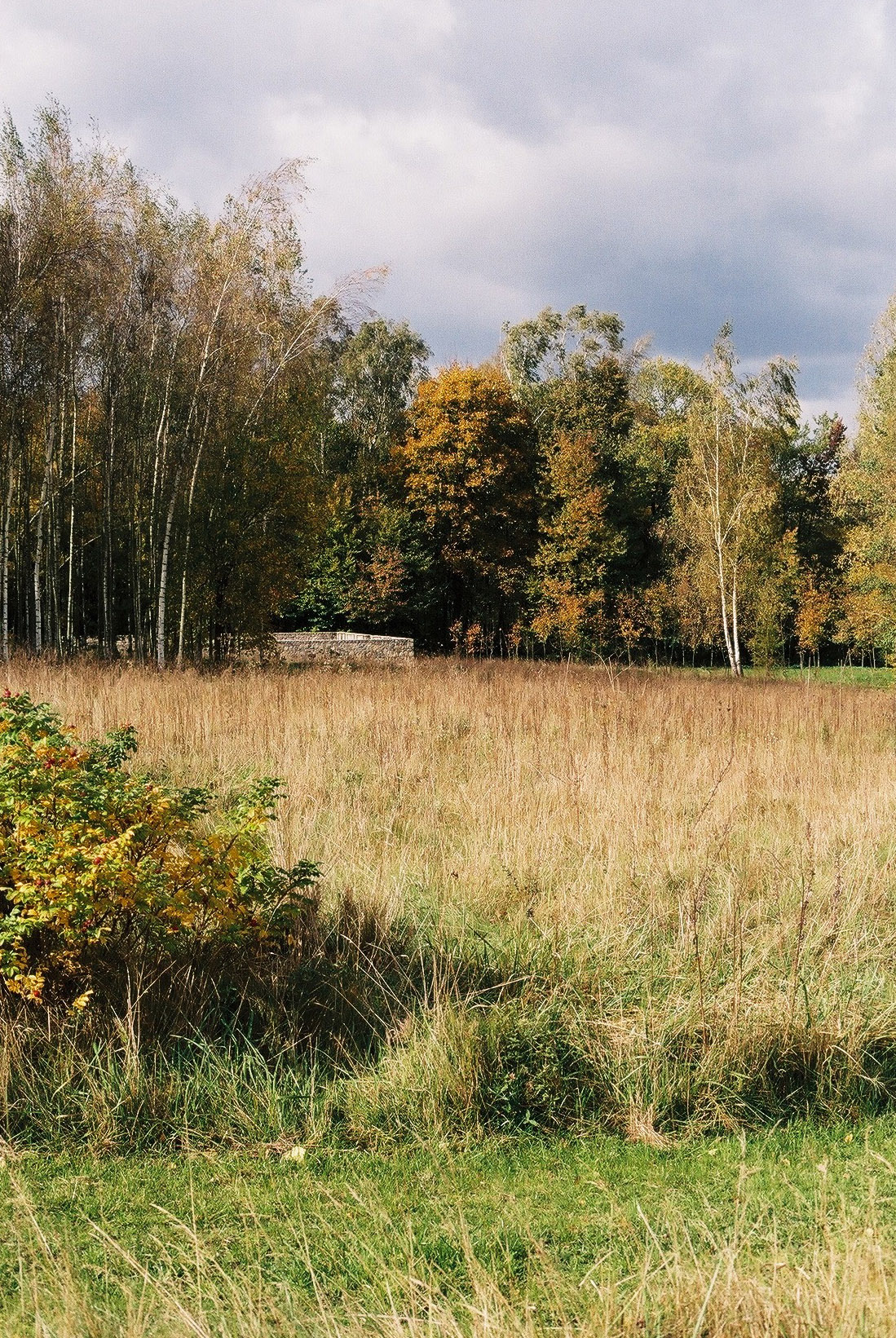 Wygnanowice House Over Crystal Clear Springs captured by Thisispaper Studio — Distant view of Wygnanowice House positioned within its rural Polish landscape setting.