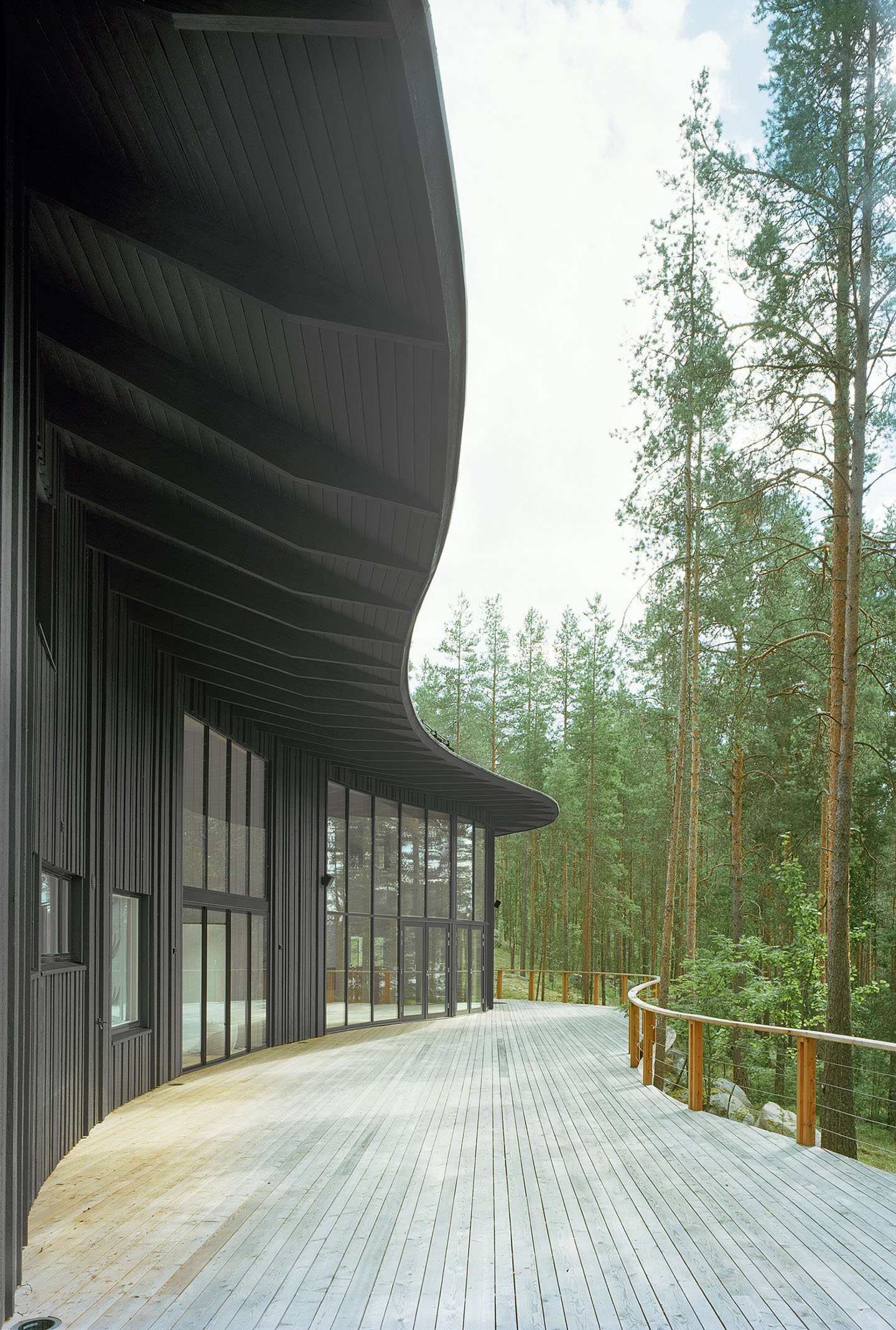 Villa Musu by Sanaksenaho Architects — The curved timber soffit dominates the composition, its ribbed underside articulated through linear shadow striations that evoke branching patterns.