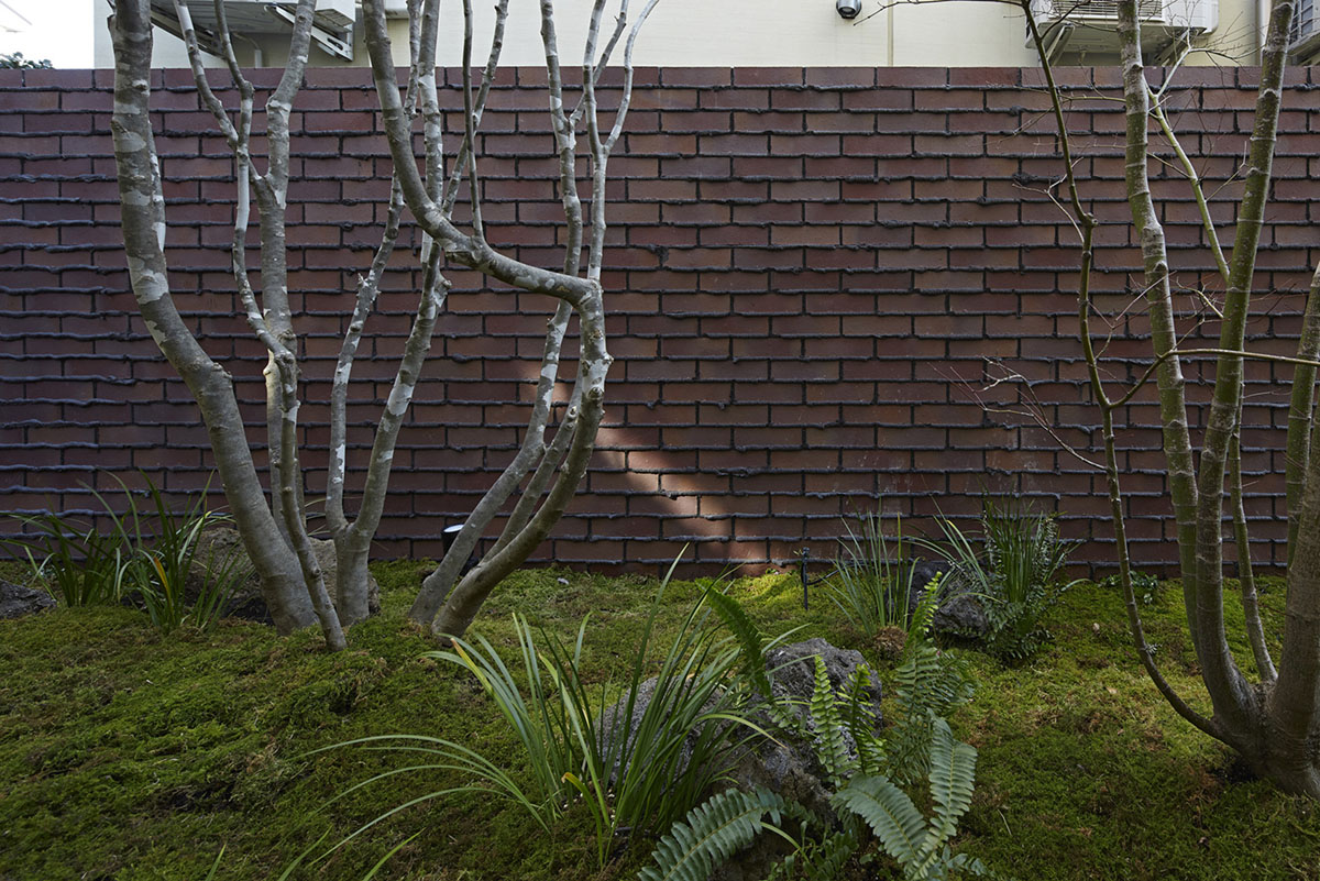 Oggi by Makoto Yamaguchi Design — This ground-level view captures the Oggi House's landscape interface, where bare deciduous trees with pale bark create vertical punctuation against the...