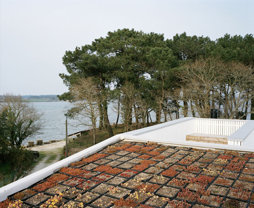 Oyster Farm Hangar by RAUM, farmhouse, holiday-house, architecture, glass, wood