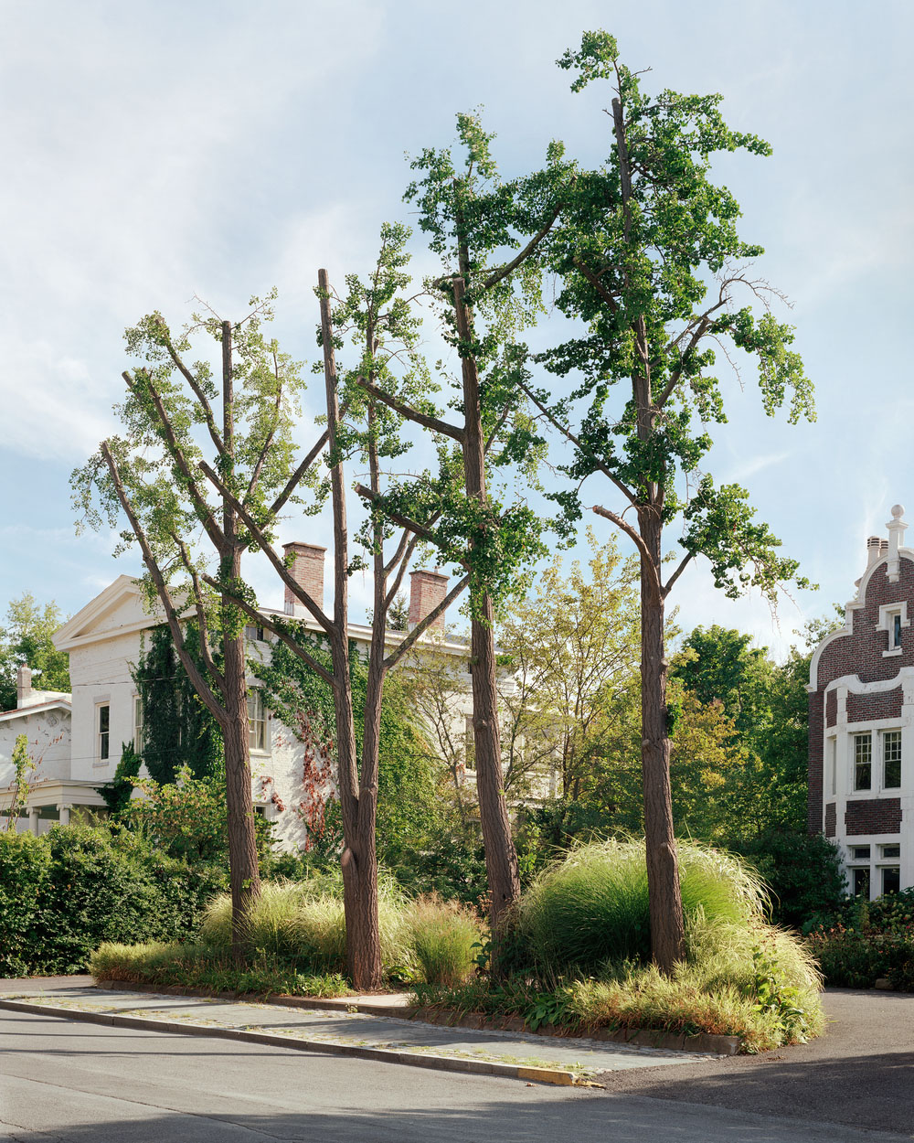 Plain Sight by Paloma Dooley, landscape, photography, nature