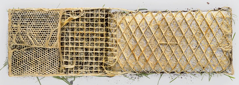 Rootbound by Diana Scherer, organic, design, craft, nature, biodesign