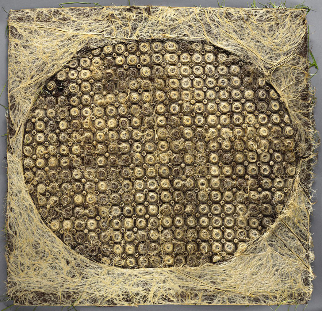 Rootbound by Diana Scherer, organic, design, craft, nature, biodesign