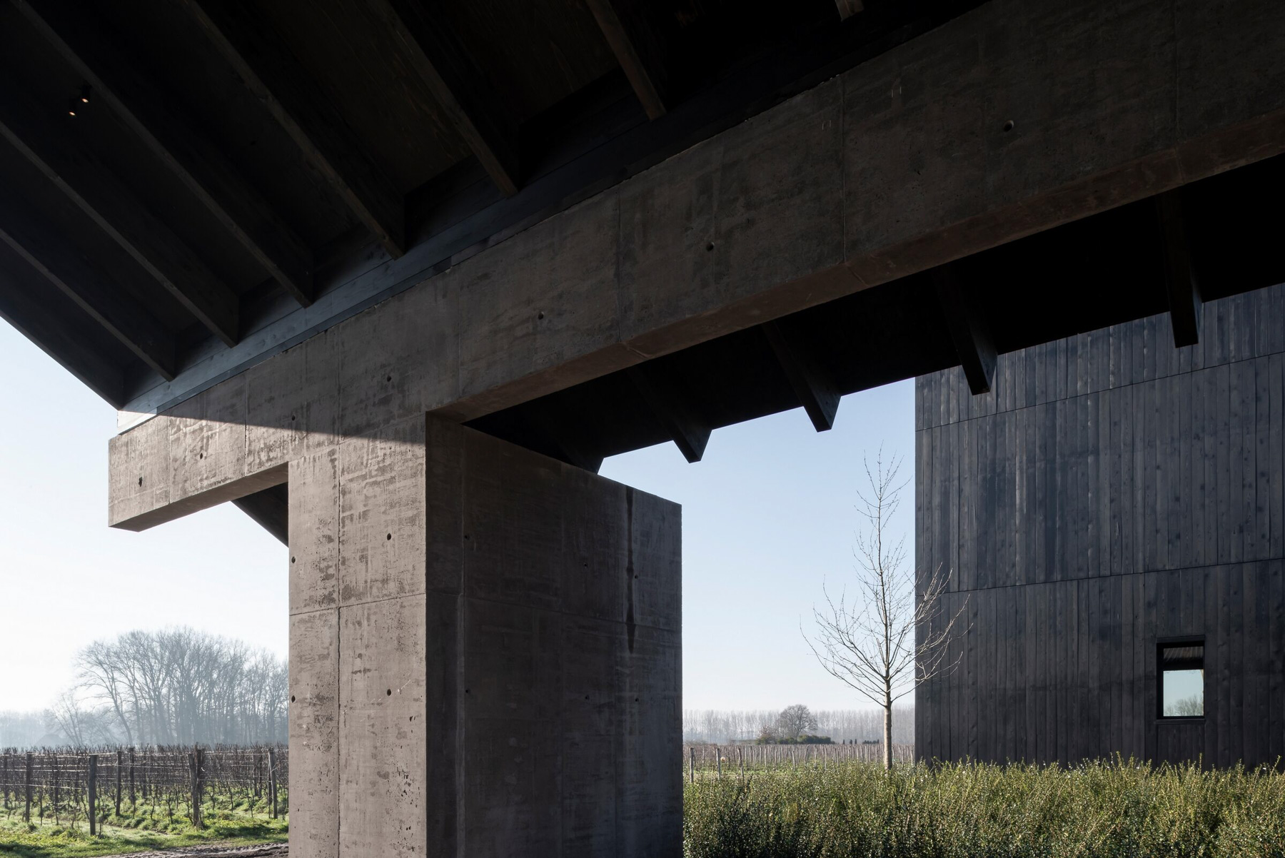Winery Valke Vleug by Vincent Van Duysen Architects, minimalism, architecture, black, concrete, wood