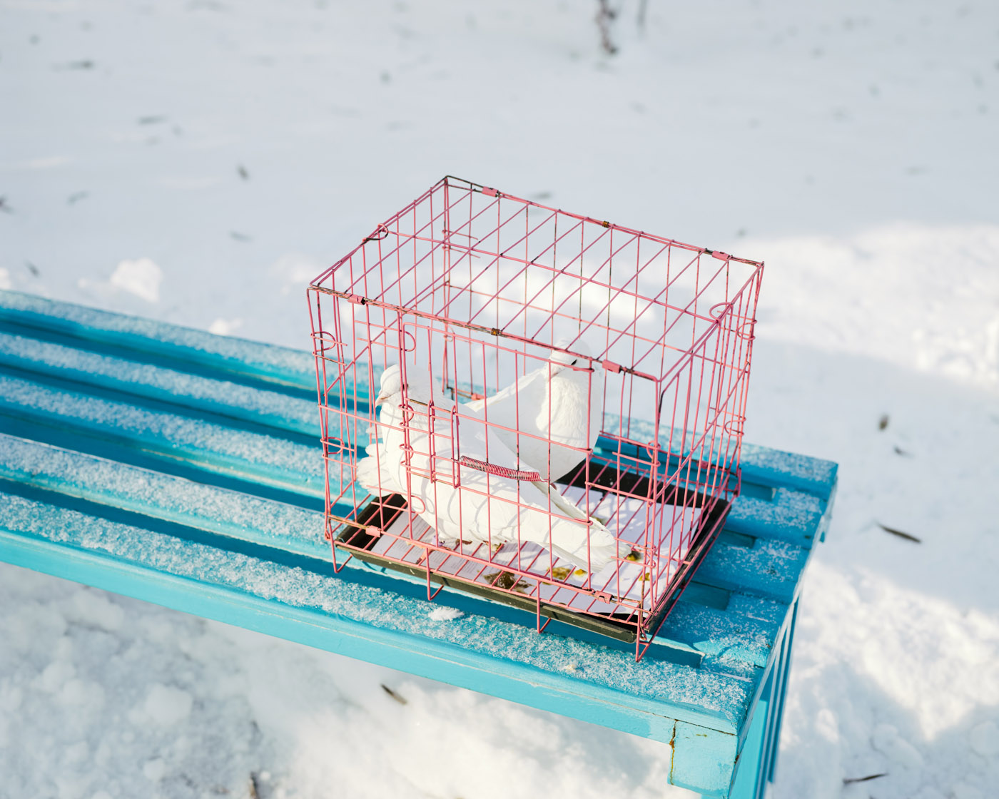 Formations by Aleksey Kondratyev, documentary, photography, landscape, nature