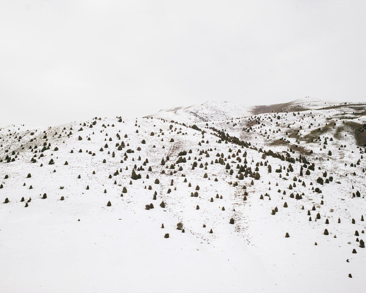 Formations by Aleksey Kondratyev, documentary, photography, landscape, nature