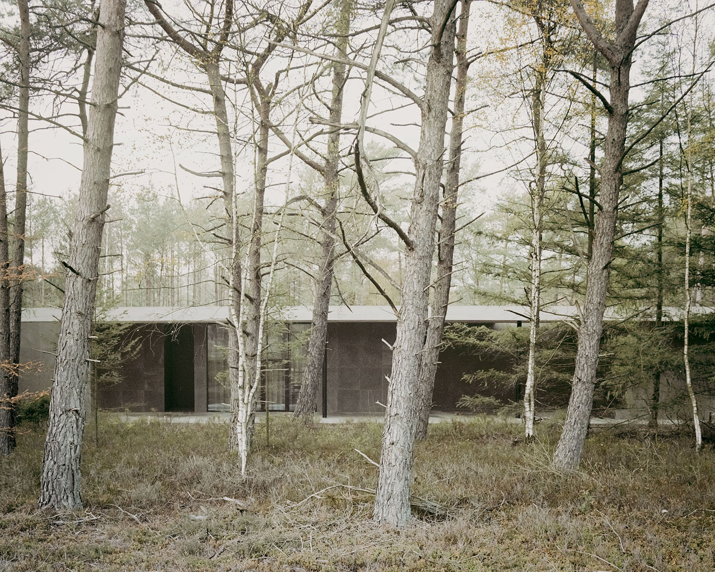 Loenen Pavilion by KAAN Architecten — Viewed through a dense forest of bare deciduous trees with pale trunks, the Loenen Pavilion presents a recessed horizontal facade of dark glazing set...