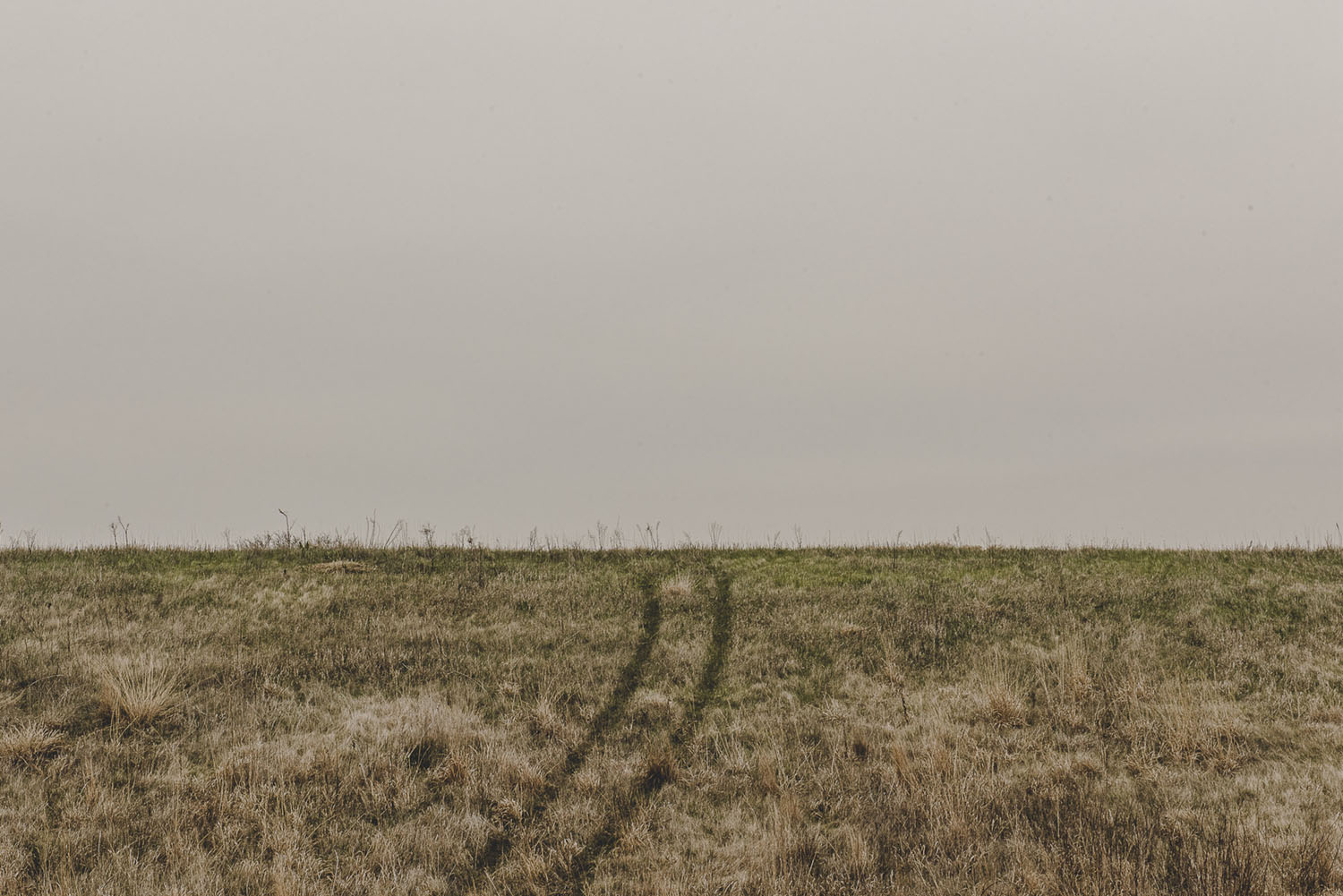 Selected works by George Etheredge, documentary, photography, landscape, nature