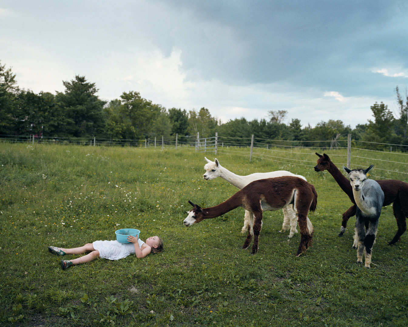 Amelia & the Animals by Robin Schwartz, documentary, photography, nature