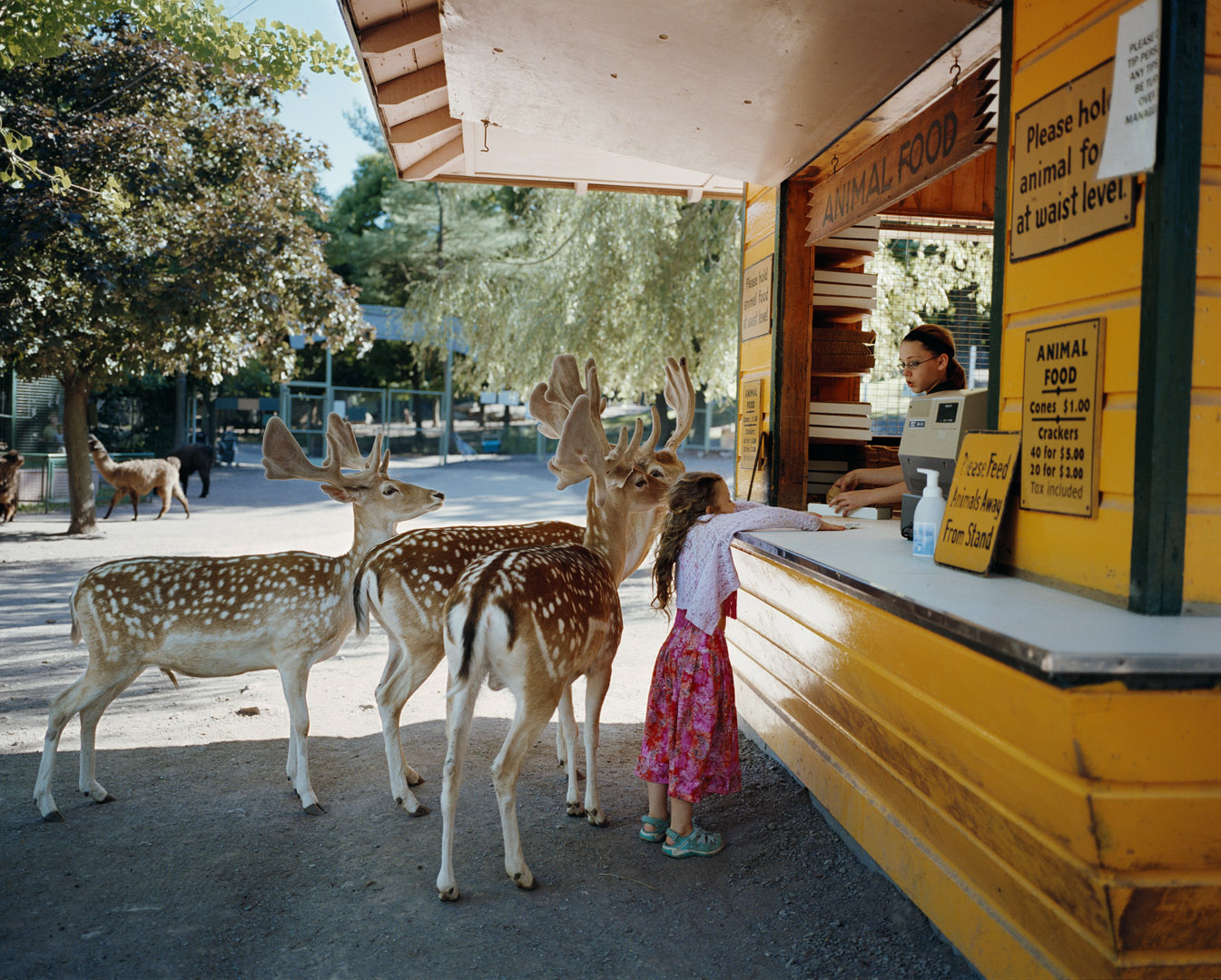 Amelia & the Animals by Robin Schwartz, documentary, photography, nature