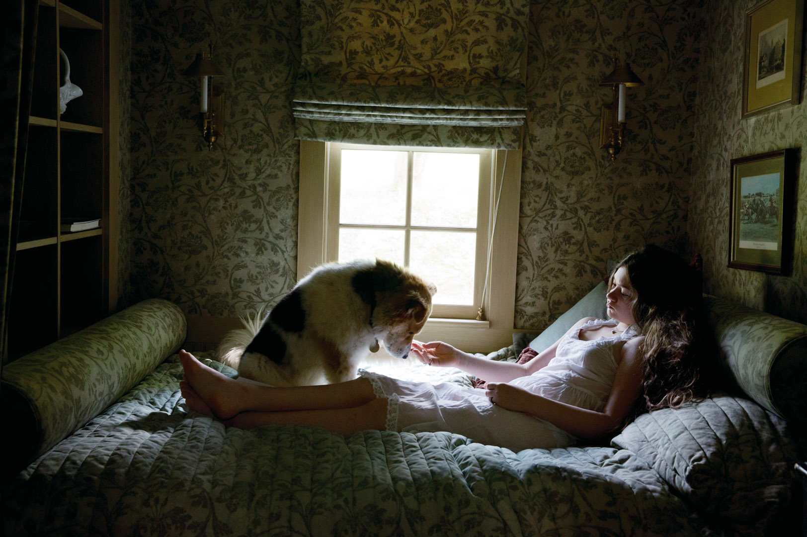 Amelia & the Animals by Robin Schwartz, documentary, photography, nature