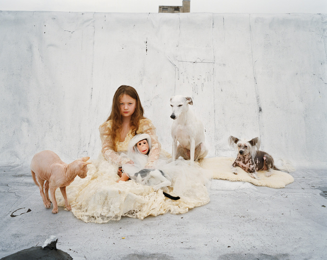 Amelia & the Animals by Robin Schwartz, documentary, photography, nature
