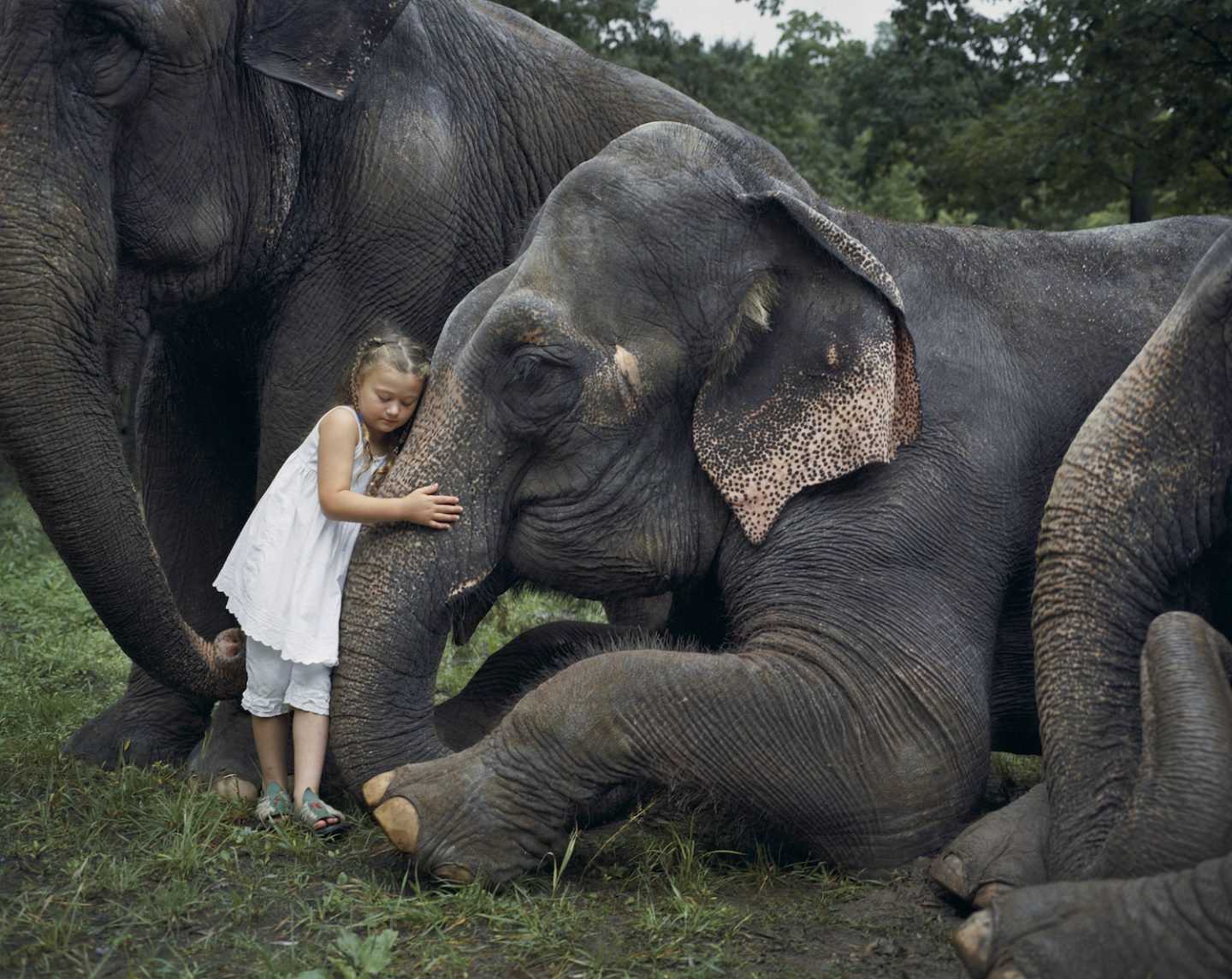 Amelia & the Animals by Robin Schwartz, documentary, photography, nature