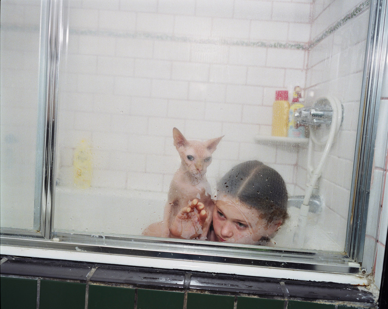 Amelia & the Animals by Robin Schwartz, documentary, photography, nature