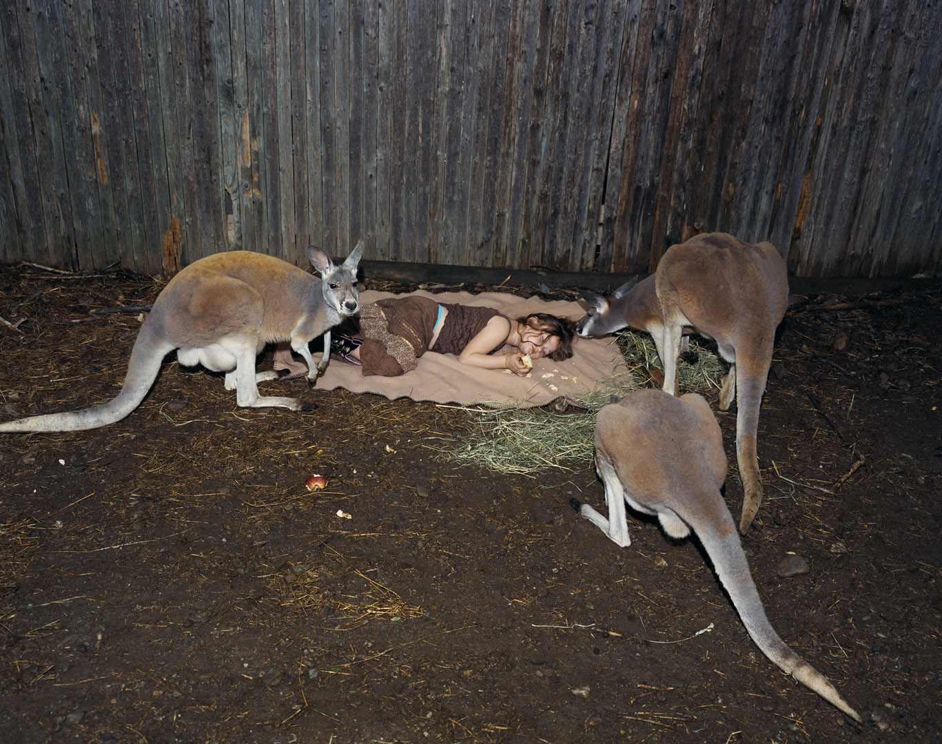 Amelia & the Animals by Robin Schwartz, documentary, photography, nature
