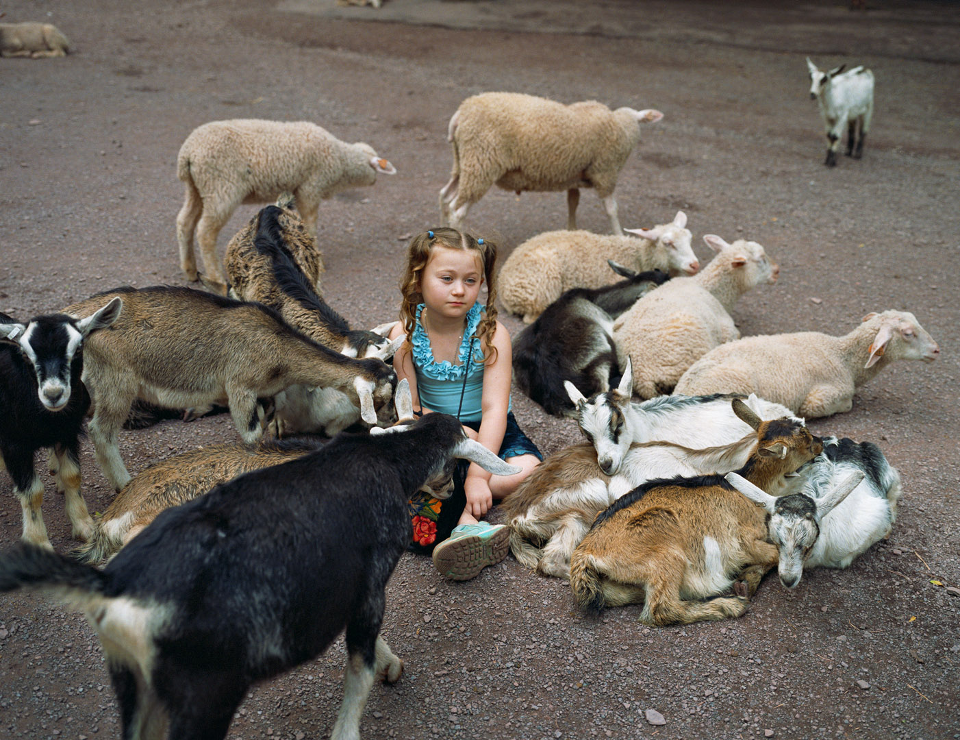Amelia & the Animals by Robin Schwartz, documentary, photography, nature