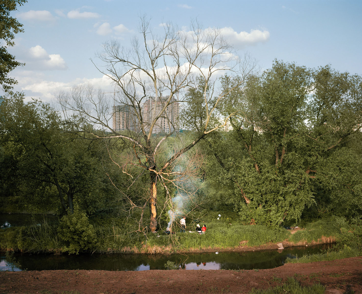 Pastoral I by Alexander Gronsky, documentary, landscape, photography, nature, urban