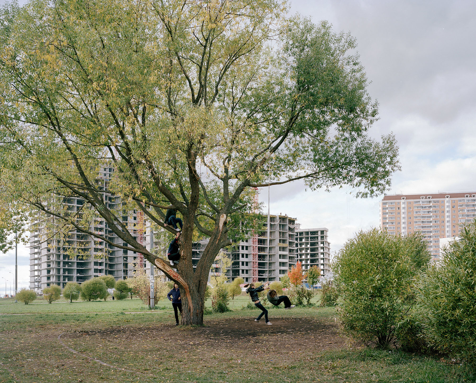Pastoral I by Alexander Gronsky, documentary, landscape, photography, nature, urban