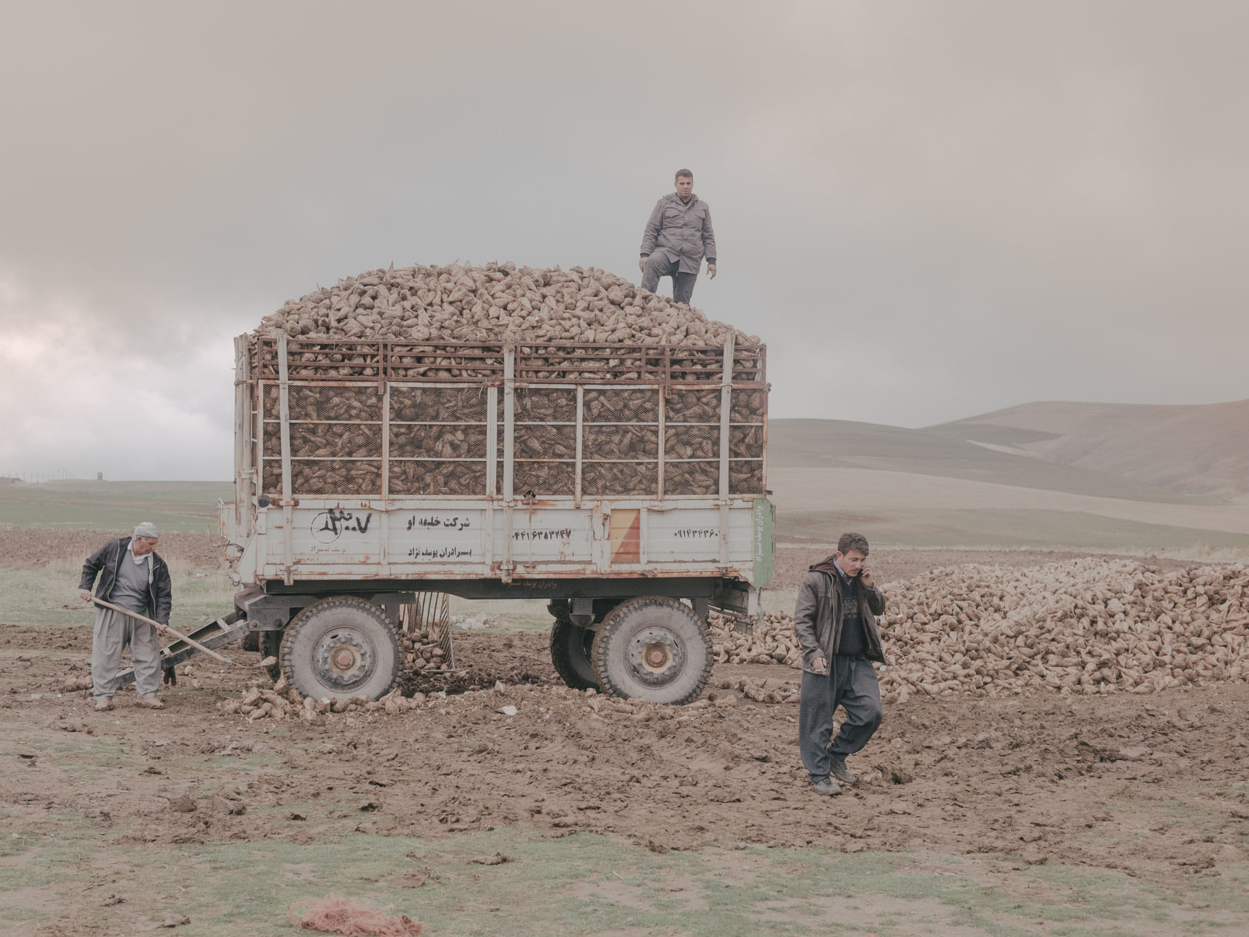 Fading Flamingos by Maximilian Mann — A heavily loaded agricultural truck dominates the composition, its wooden-slatted cargo bed stacked with harvested potatoes or similar root vegetables.
