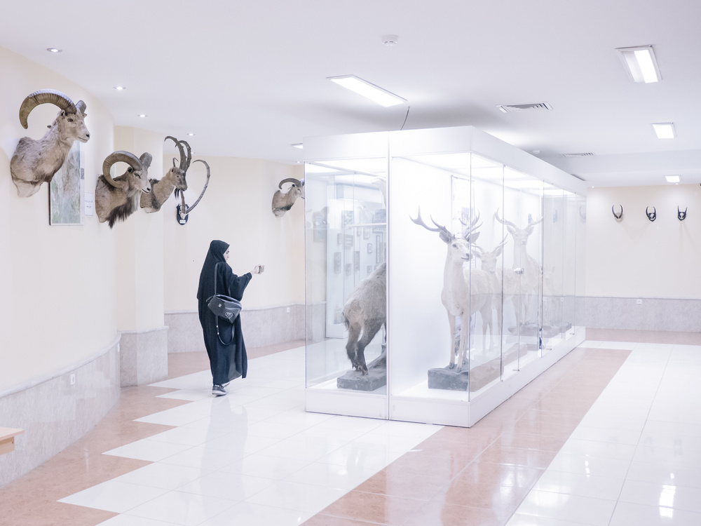 Fading Flamingos by Maximilian Mann — A woman in black clothing stands before a glass display case containing a large taxidermied deer, its pale coat and antlers positioned in profile.
