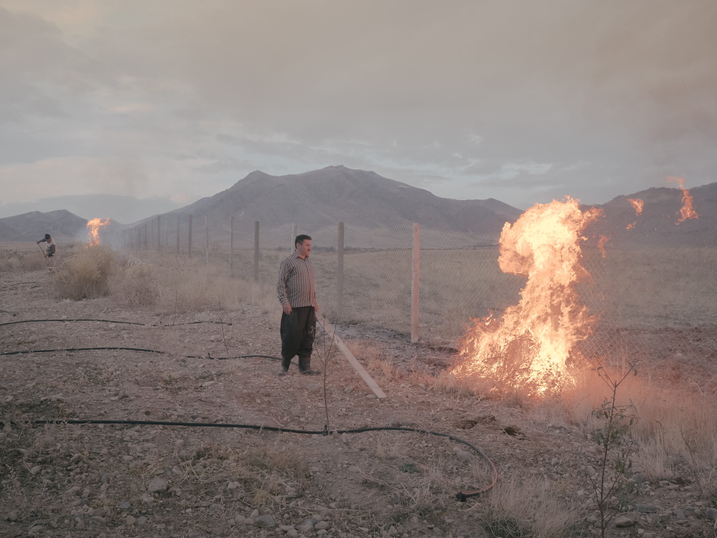 Fading Flamingos by Maximilian Mann — Controlled agricultural fires burn across the desiccated landscape near Lake Urmia, with multiple flames visible across the frame—foreground, middle...
