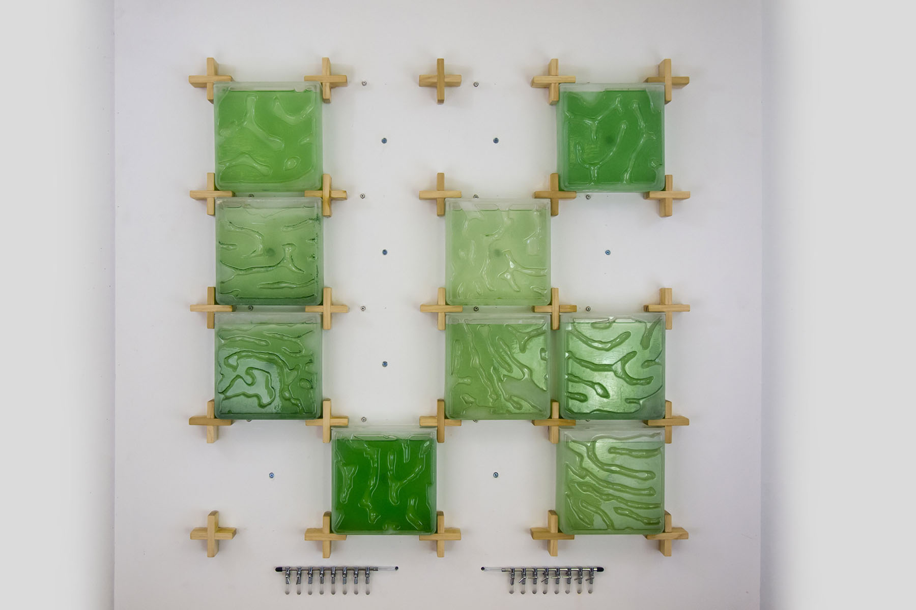 The Coral by Hyunseok An — Wall-mounted bioreactor comprising nine transparent rectangular chambers arranged in a cross formation, each containing vivid green algae suspension with...
