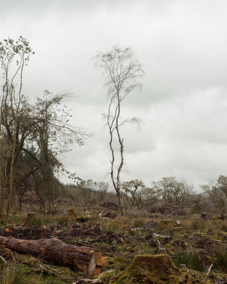 The Moor by Robert Darch, landscape, photography, future, artificial, documentary