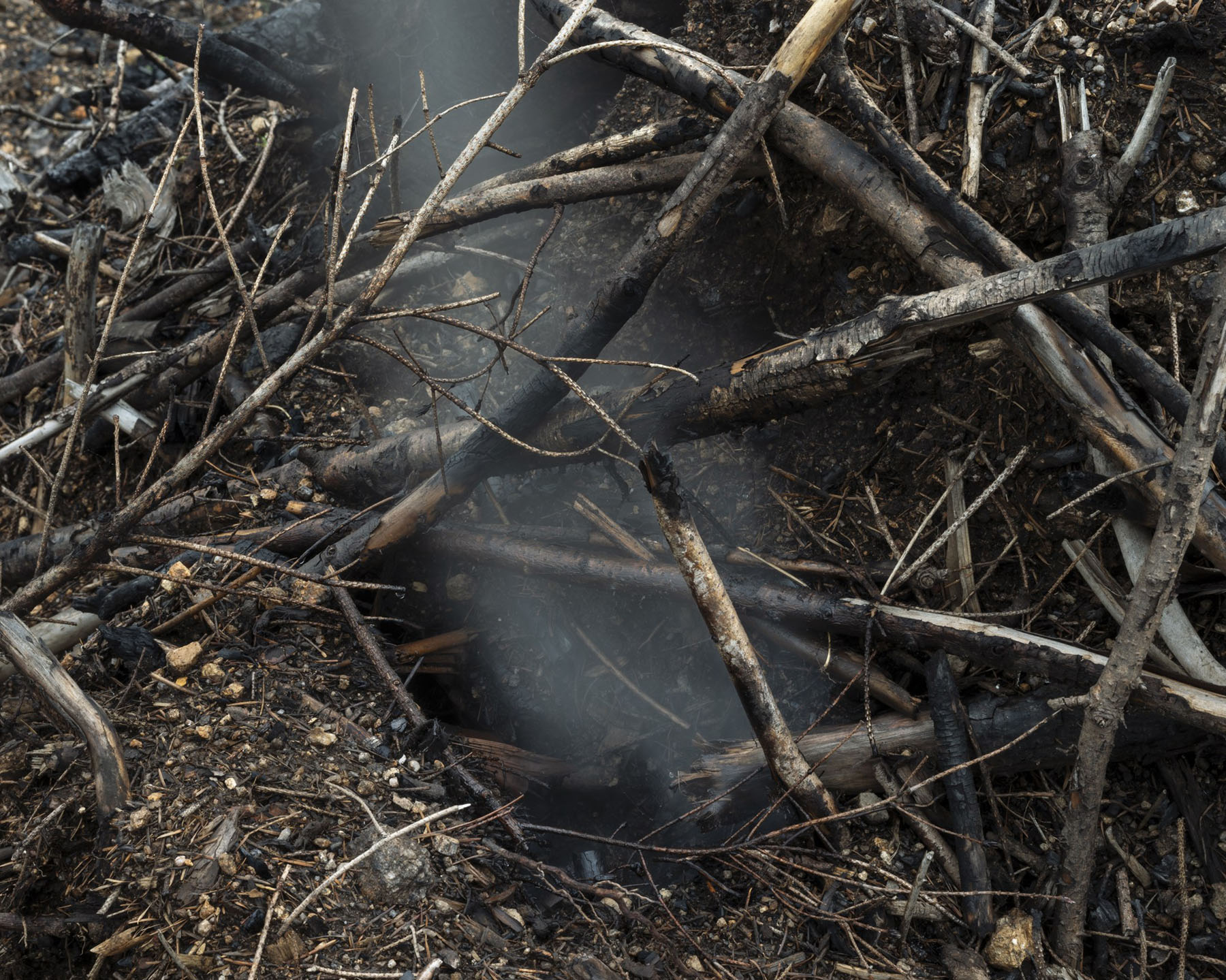 The Moor by Robert Darch, landscape, photography, future, artificial, documentary