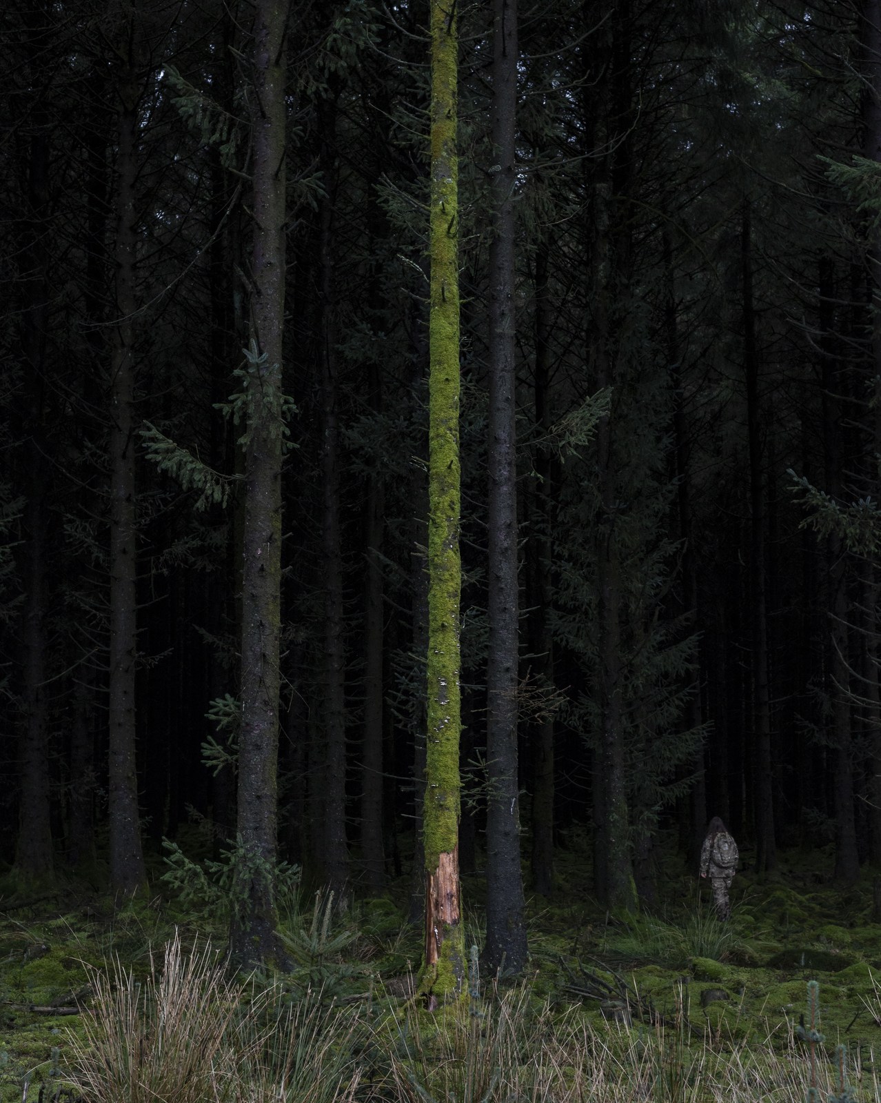 The Moor by Robert Darch, landscape, photography, future, artificial, documentary