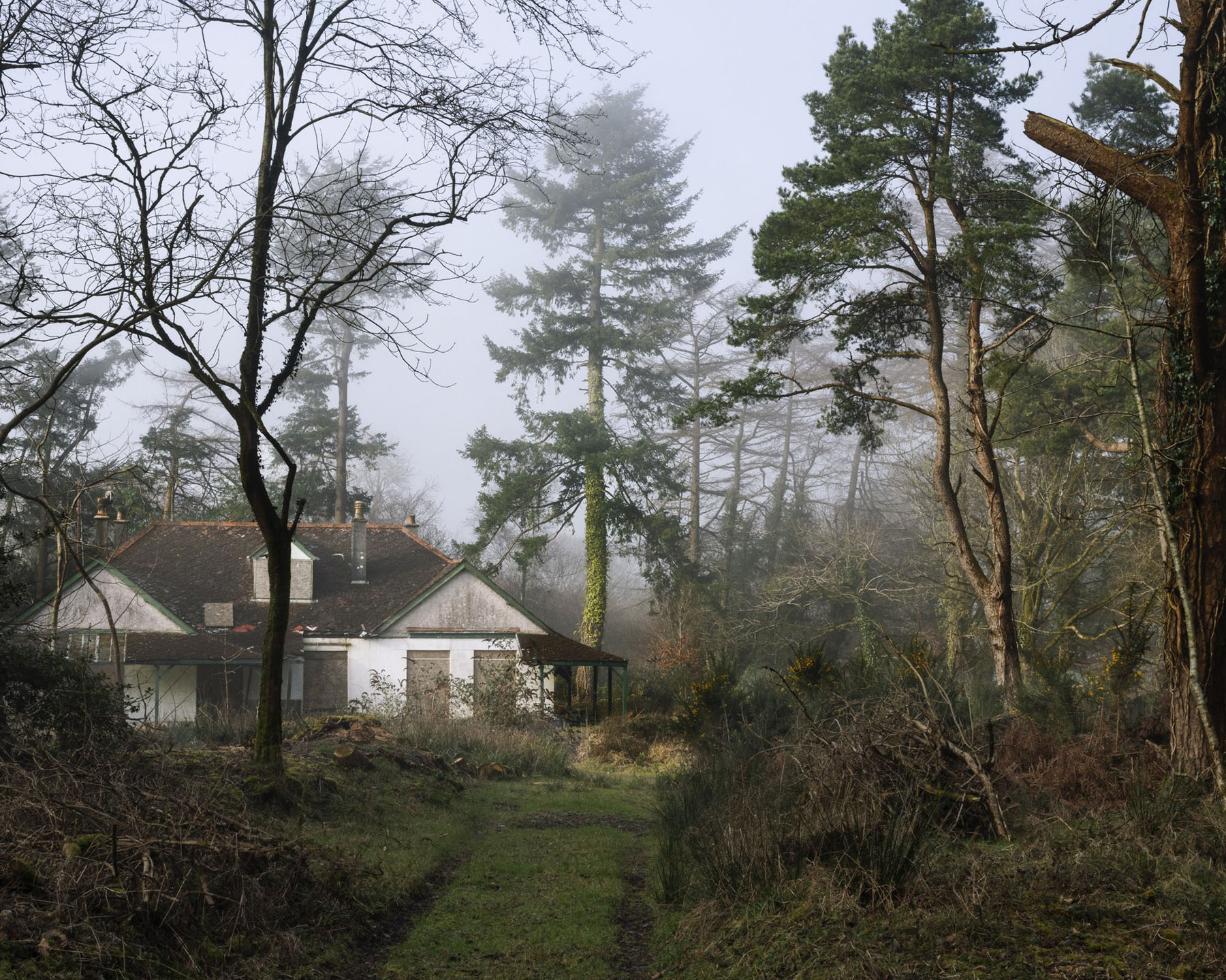 The Moor by Robert Darch, landscape, photography, future, artificial, documentary