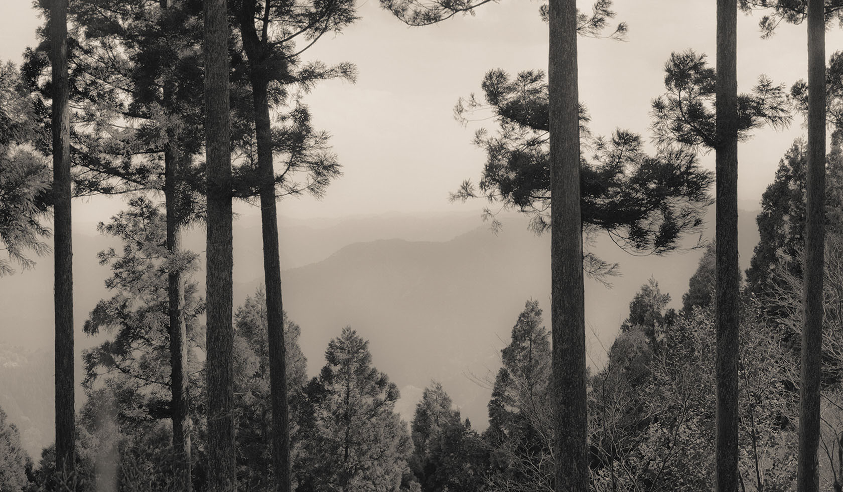 Selected works by Lena C. Emery, photography, people, japan, nature, landscape