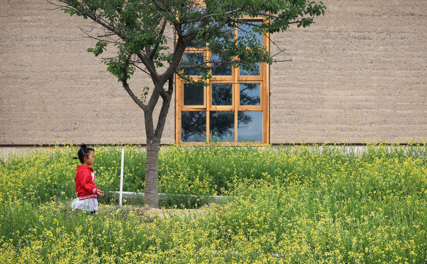 Macha Village Center by ONEARTH Architecture, sustainable, architecture, china, organic, low-tech