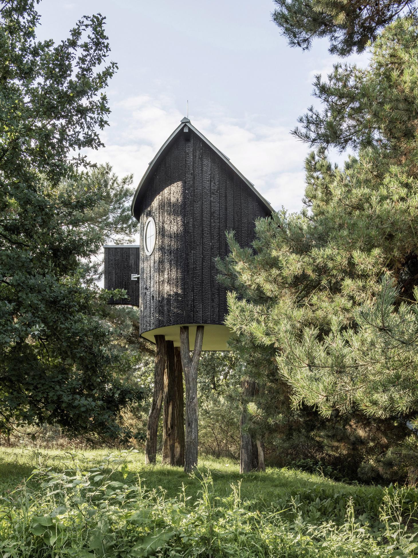 Ein Stein Tea House and Other Architectures by Terunobu Fujimori — Terunobu Fujimori's Ein Stein Tea House rises from weathered robinia timber posts in a forest clearing near Neuss, Germany.