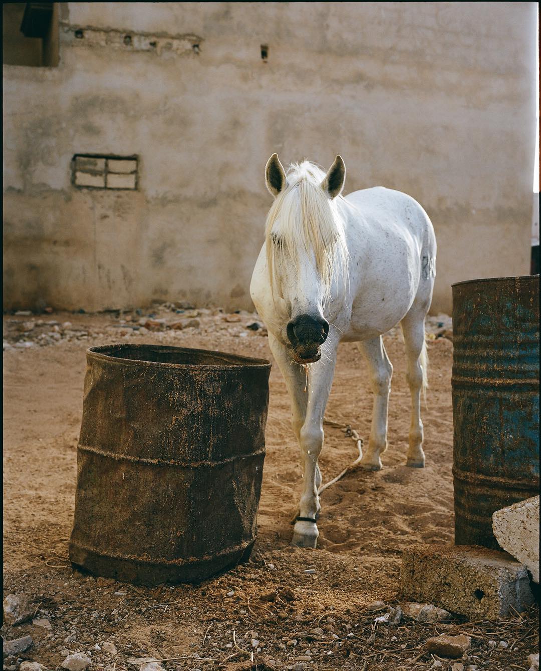 Selected works by Dani Pujalte, documentary, photography, people, colors
